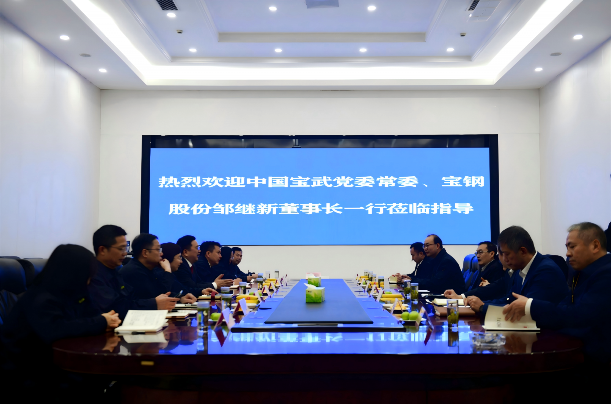 中国宝武集团高层访问吴变，共谋合作新篇章